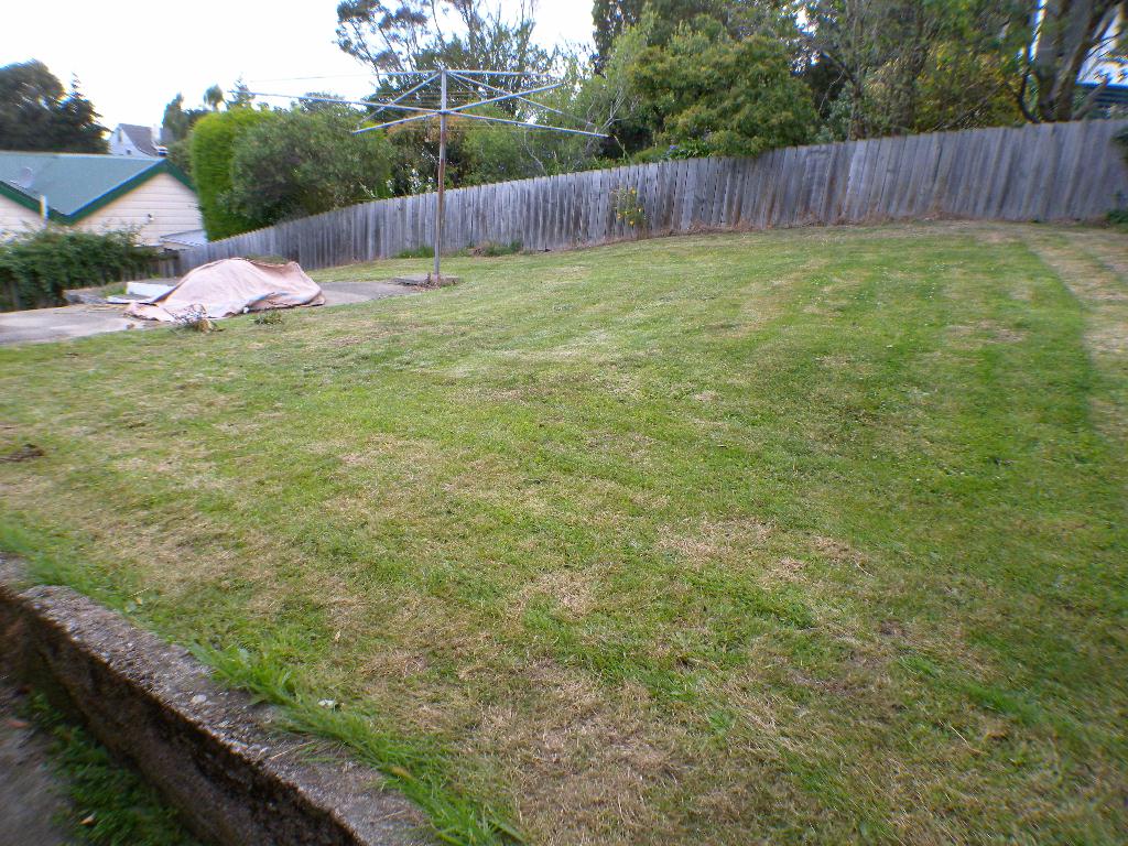 yard 1