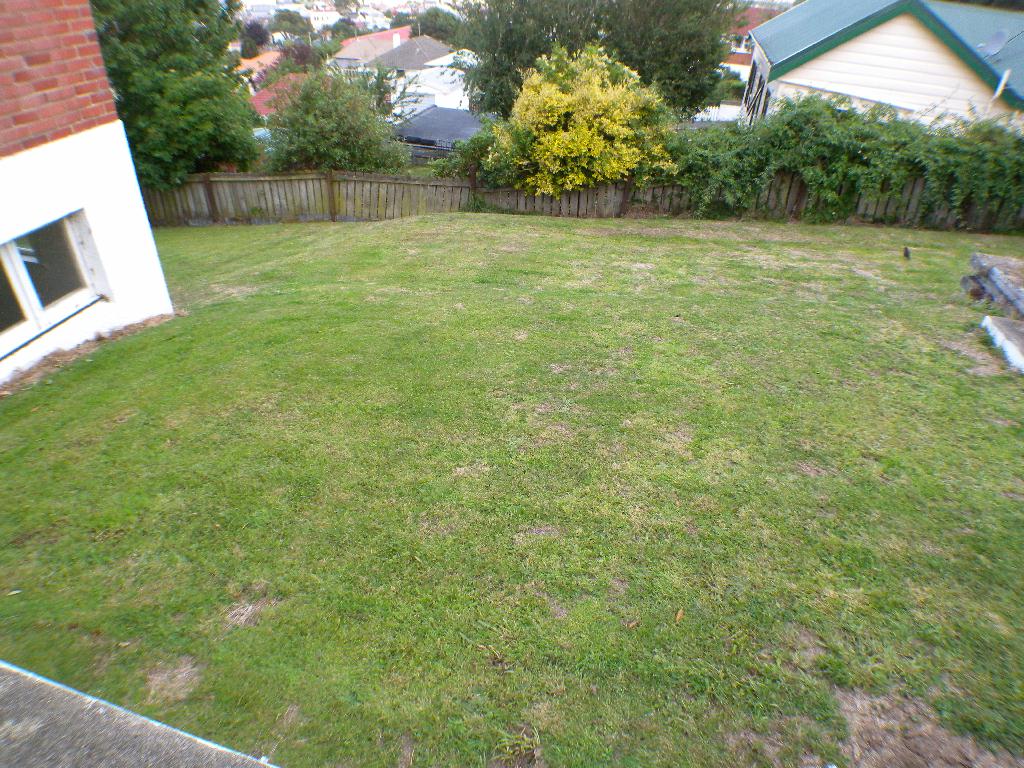yard