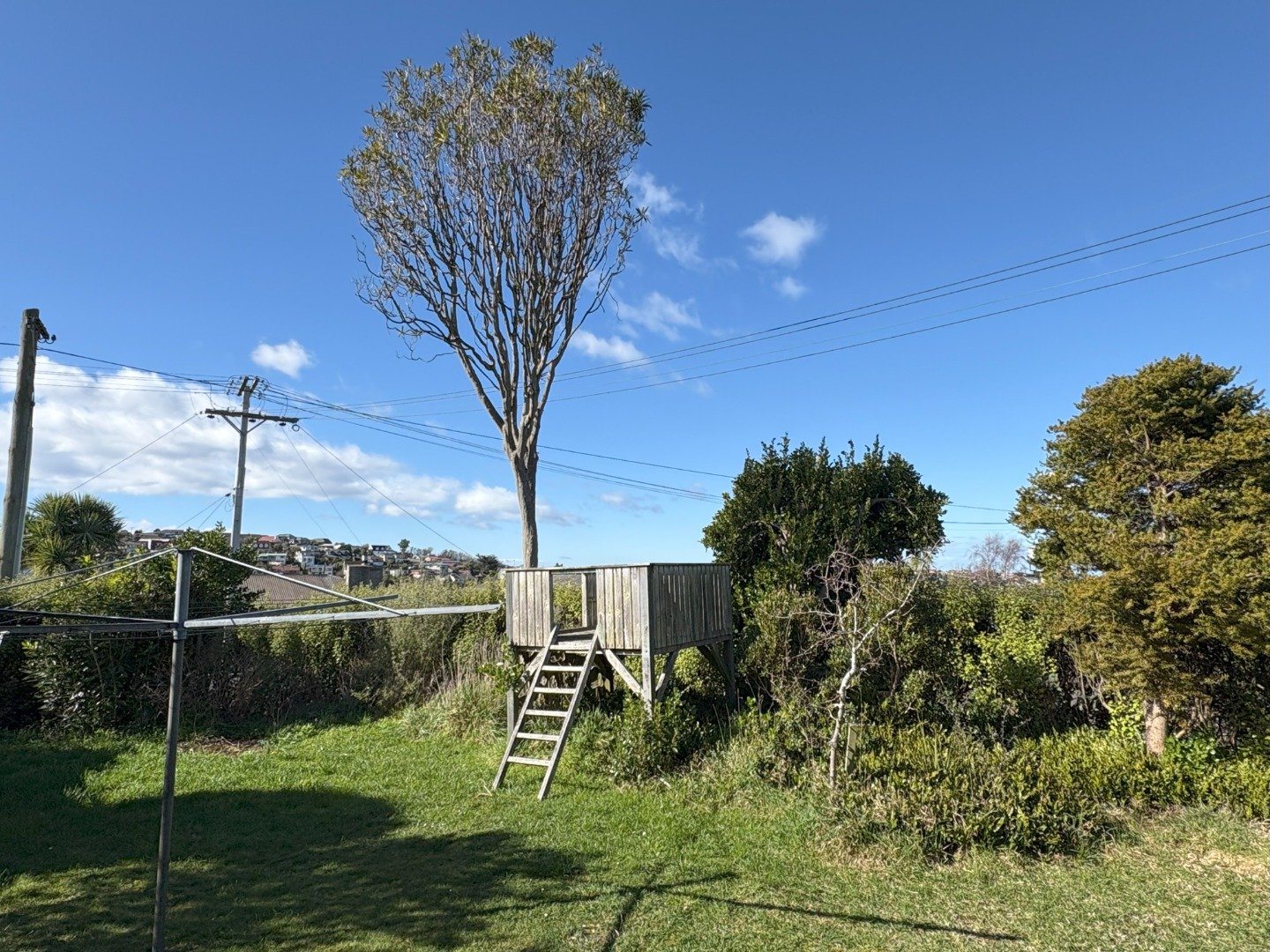 house to rent - south property - kipling Street yard