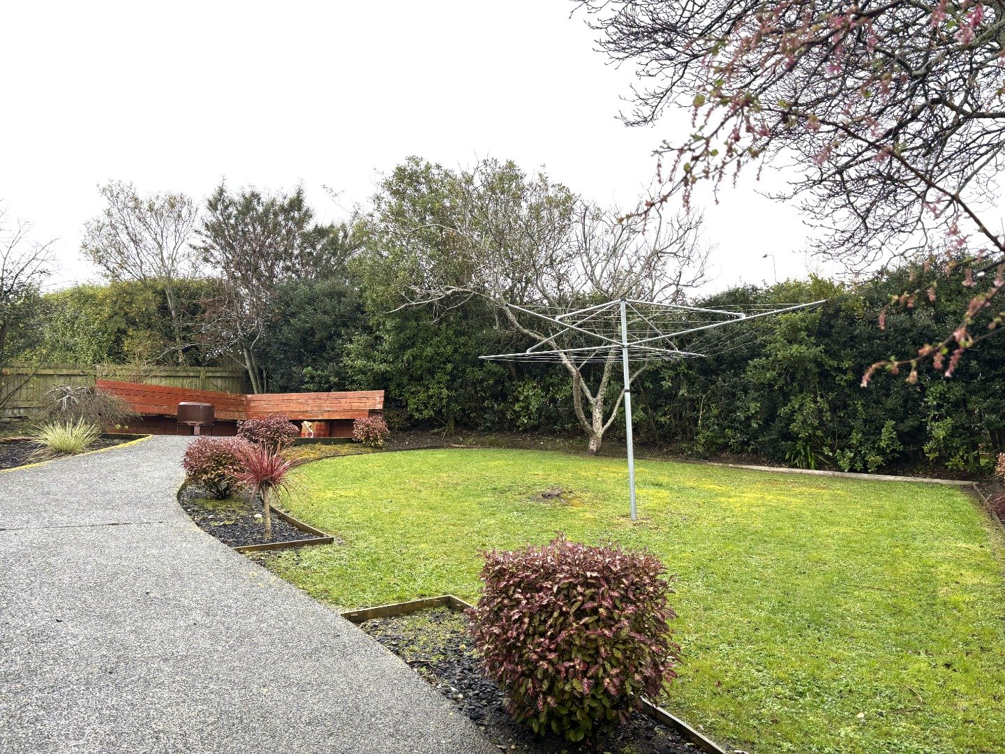 Pitcairn backyard 1
