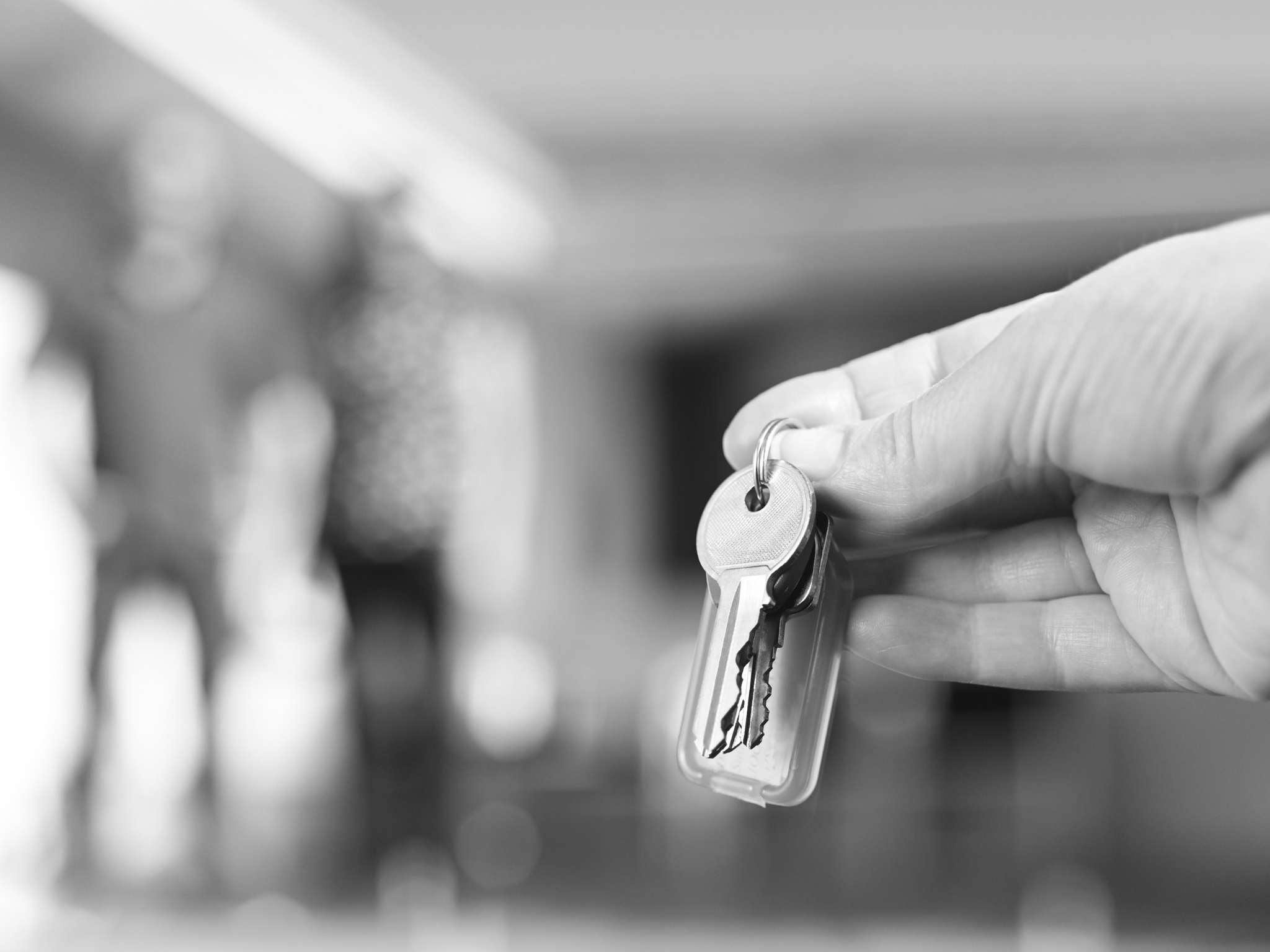 How Much Does Property Management Cost in Dunedin? (2026 Guide)