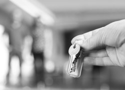 How Much Does Property Management Cost in Dunedin? (2026 Guide)