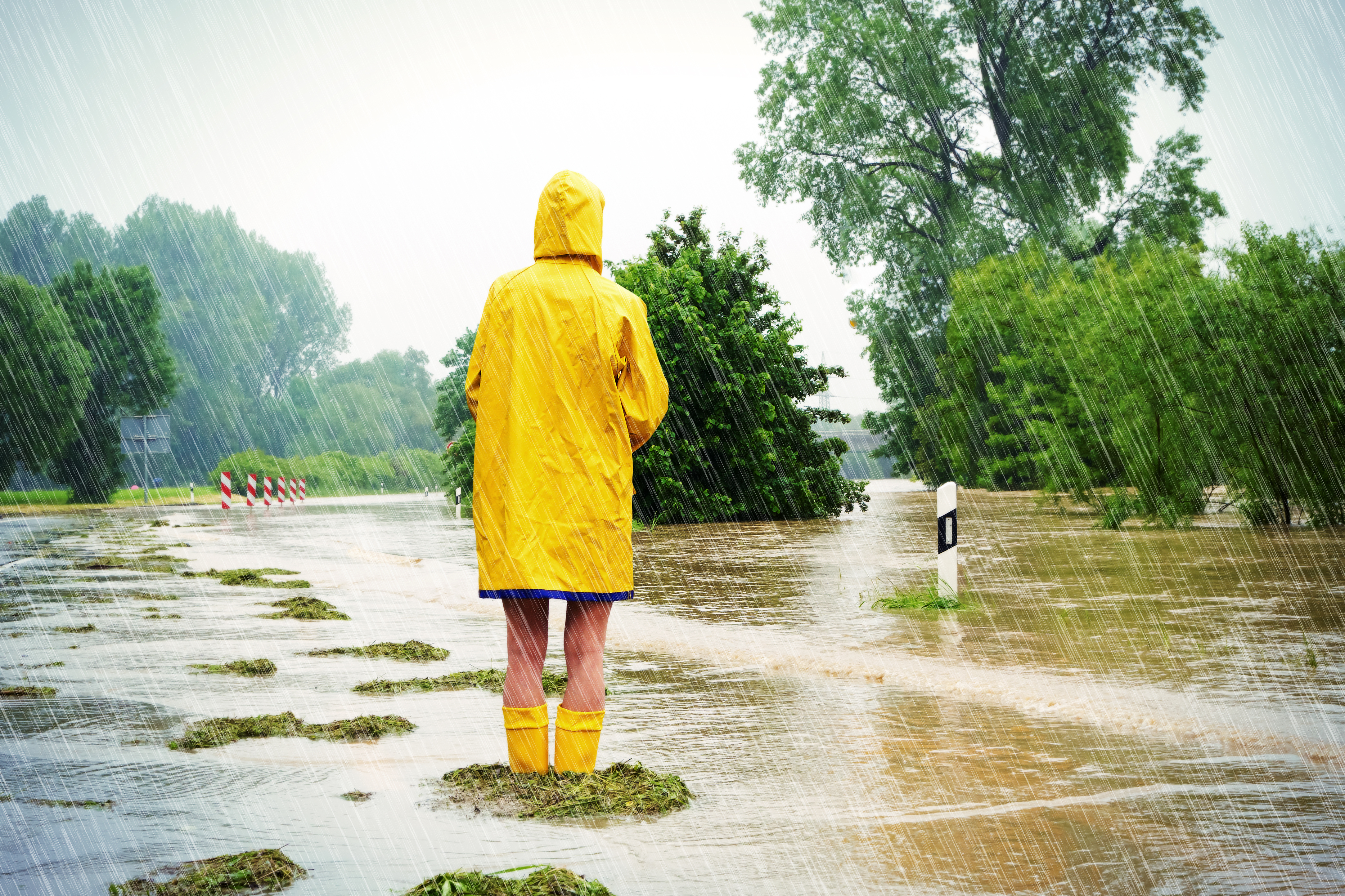 The Big Wet - What happens when your rental property is flooded?